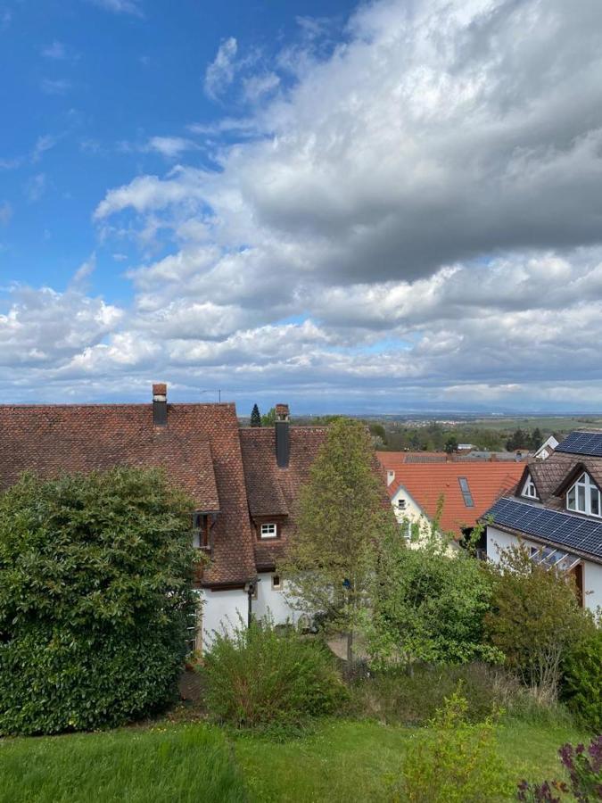Ferienwohnung Vogesenblick Mullheim  Extérieur photo